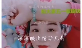 视频图片小说,从视频、图片到小说的奇幻旅程